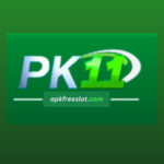 PK11 Game logo