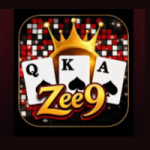 zee9 game logo