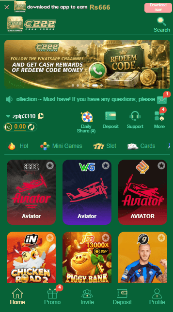 C222 game image