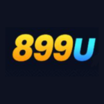 899u game logo image