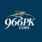 966pk game logo