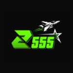 z555 game logo image