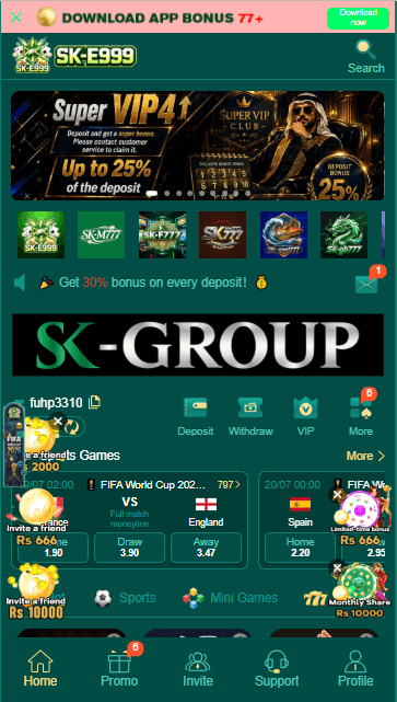 sk e999 game image