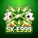 sk e999 game logo